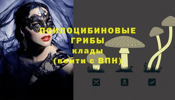 не бодяженный Беломорск