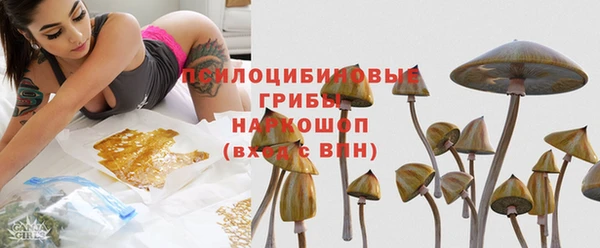 не бодяженный Беломорск