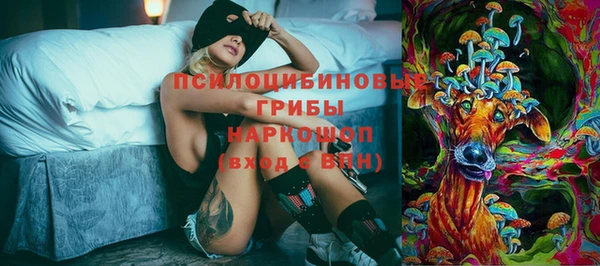 первитин Белокуриха